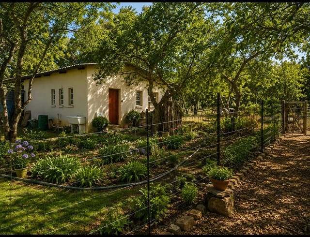 FARM FOR SALE IN VASFONTEIN